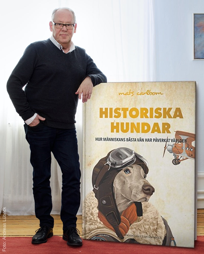 Historiska Hundar