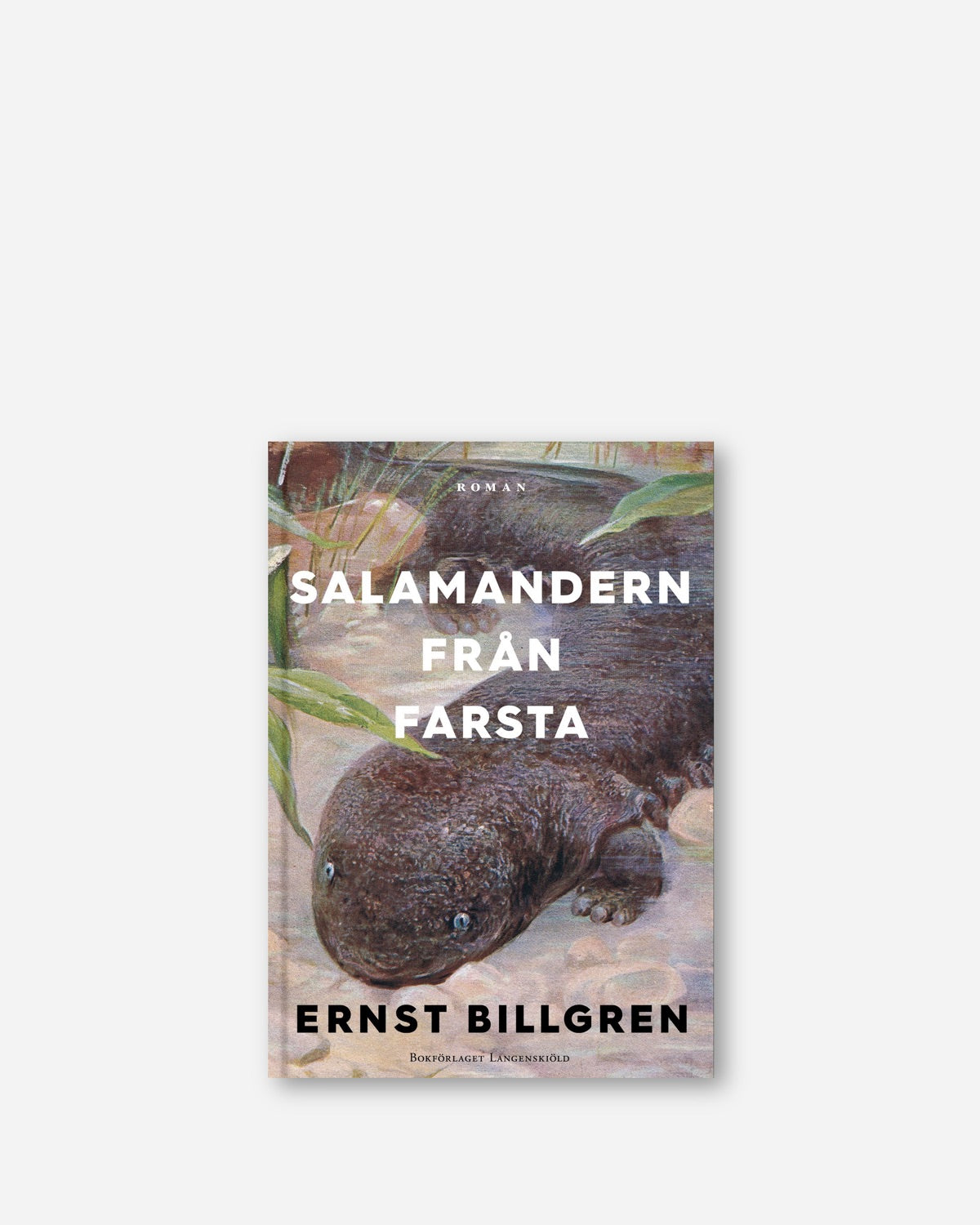 Salamandern från Farsta