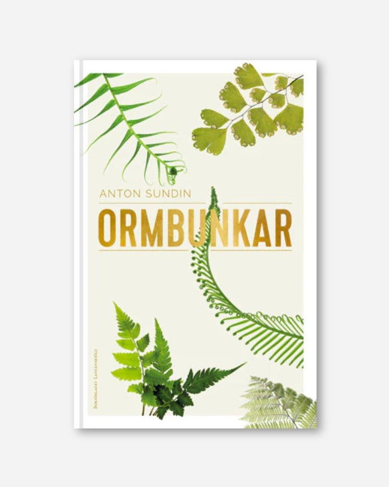 Ormbunkar
